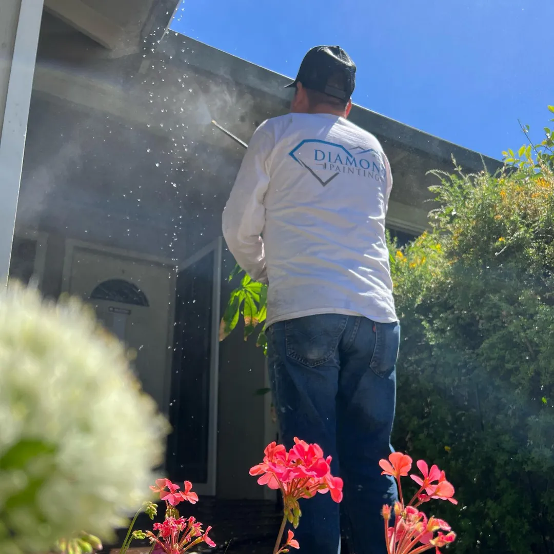 Trusted Local Painting Experts Serving Paia, Maui